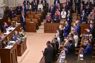 Čeští poslanci jednali i s mrtvým sultánem, uvádí výkaz. Za rok prolétali po světě miliony